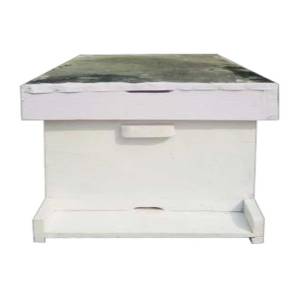 Beehive Box Without Super Suppliers in Nepal