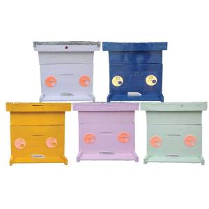 Beehive Box Suppliers in Nepal